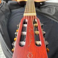 LARRY CARLTON G5N chitarra corde nylon