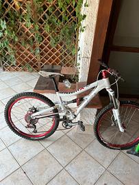 BICI DOWNHILL