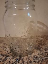 20 Vasi Vetro Bormioli Rocco da 1 kg 