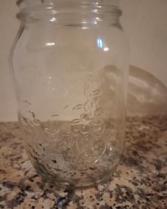 20 Vasi Vetro Bormioli Rocco da 1 kg 