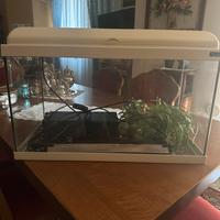 Acquario Acquattantis