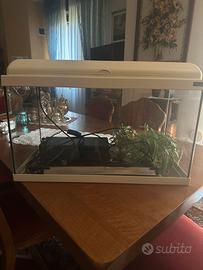 Acquario Acquattantis