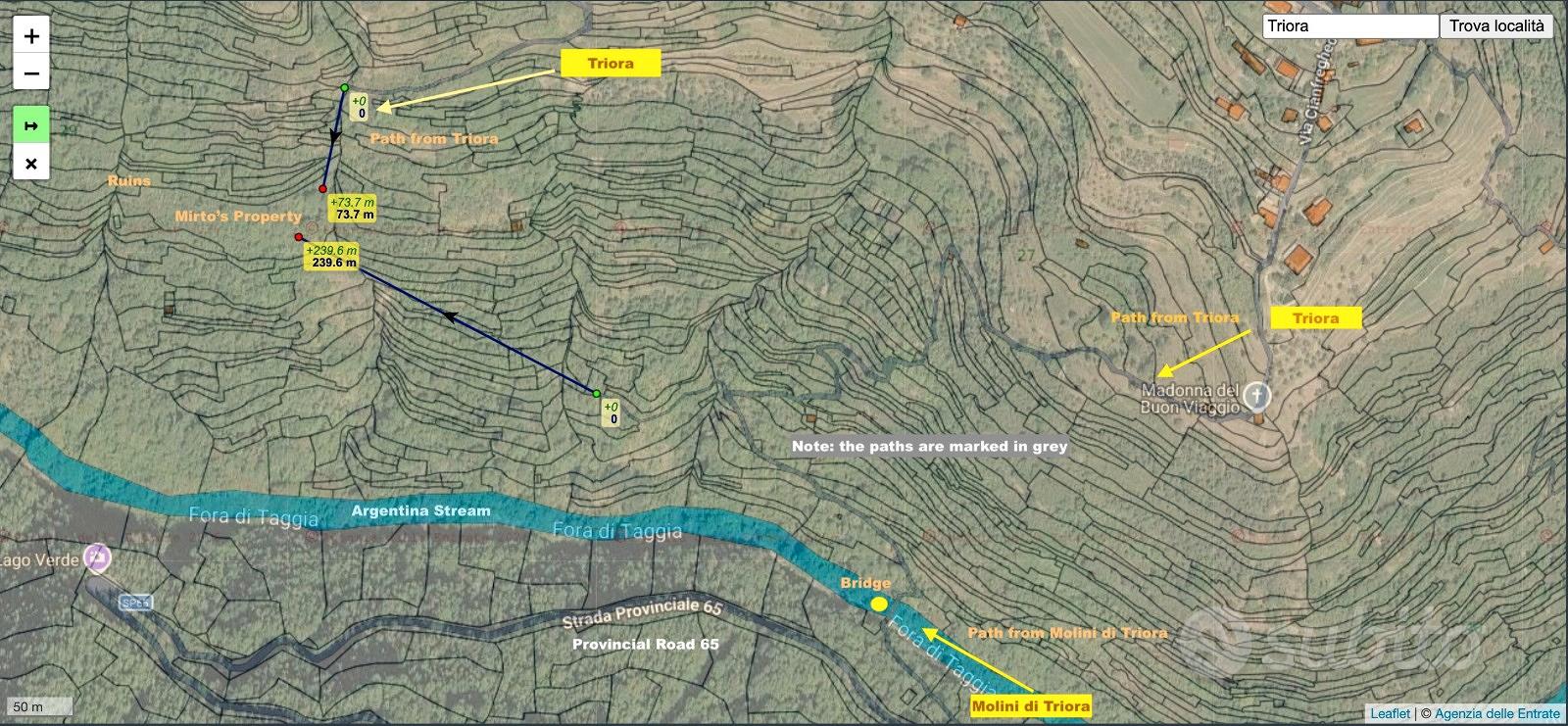 Terreni coltivabili+Lotto Edificabile Alpi Liguri - Vista 3