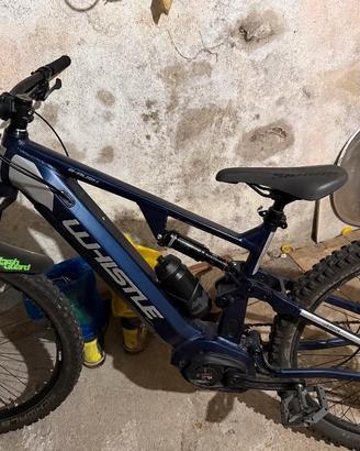 Whistle ebike