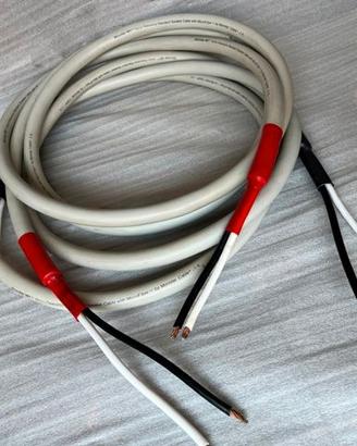 Monster Cable M1 cavi di potenza