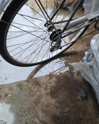 Bicicletta