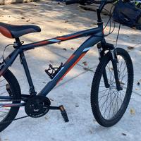 Bici mountain bike per ragazzino