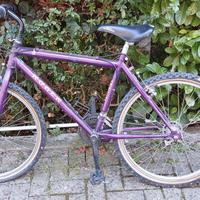 Bicicletta Mountain Bike