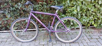 Bicicletta Mountain Bike