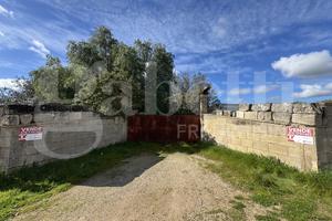 Terreno Residenziale Galatina