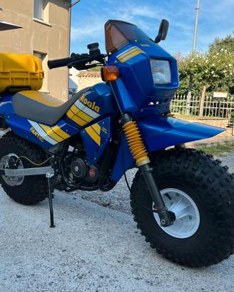 Fantic Koala 50, 1987, 528km. Da esposizione