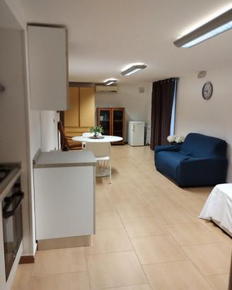 Monolocale 40 mq open space