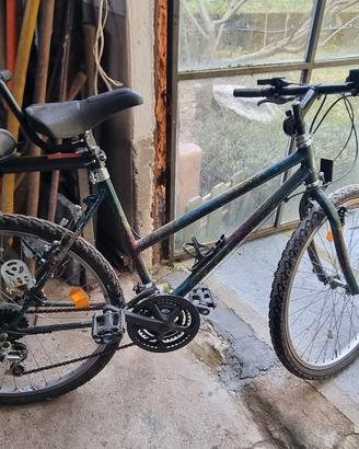 bicicletta da donna 