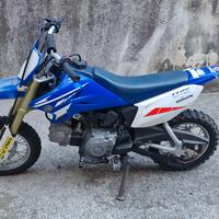 Yamaha ttr 50