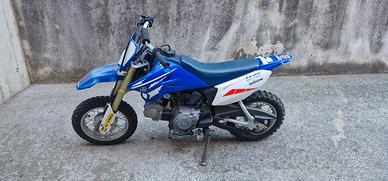 Yamaha ttr 50