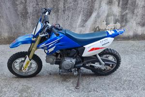 Yamaha ttr 50