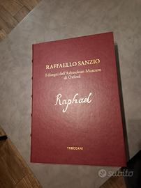 Raffaello Sanzio i disegni dell'Ashmolean museum