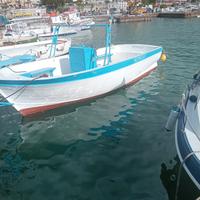 Barca in vetroresina