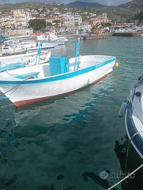 Barca in vetroresina