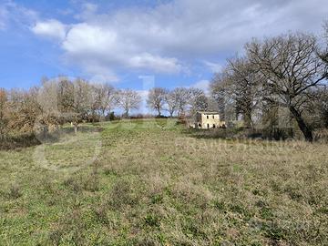 Rustico/Casale/Corte Gallese [Cod. rif 3232469VRG]