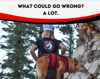 Pettorina pronto intervento+salvagente certificato