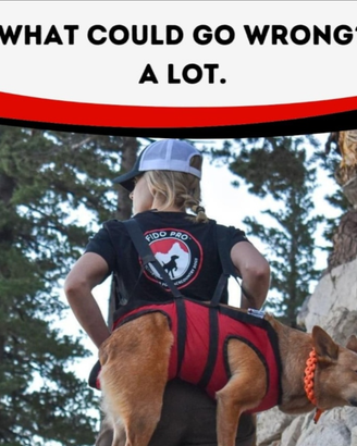 Pettorina pronto intervento+salvagente certificato