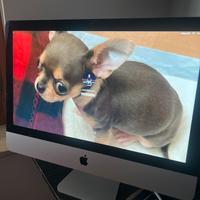 Apple iMac 21,5 pollici 8 GB SSD 256 GB perfetto