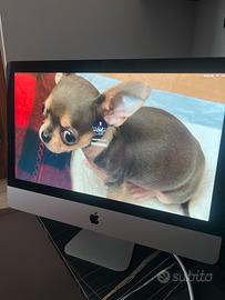 Apple iMac 21,5 pollici 8 GB SSD 256 GB perfetto