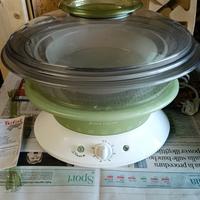 tefal cuoci tutto al vapore 