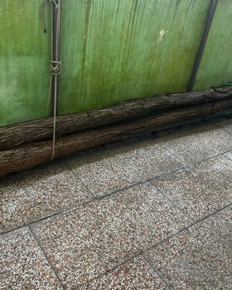 2 Pali di Gazia mt 5  ottimi per fare pontile