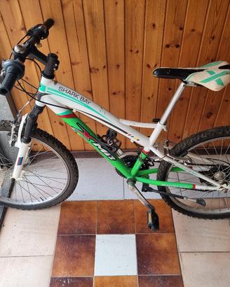 montanbike 