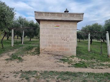 Piccolo uliveto con vano e pozzo sottostante