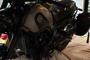 Benelli leoncino 500 trail