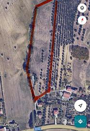 Villa Vomano Terreno agricolo e capannone