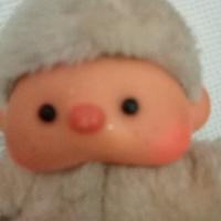 raro moncicci ratti.