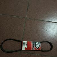 cinta servizi ligier gs 50