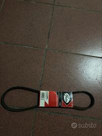 cinta servizi ligier gs 50