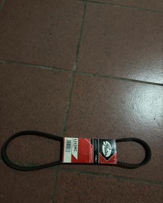 cinta servizi ligier gs 50