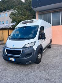 Peugeot  Ducato NO ATP