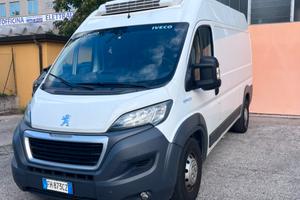 Peugeot  Ducato NO ATP