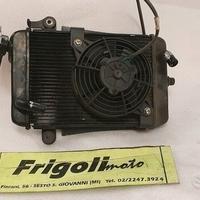 RADIATORE SH 300 2012 2013 2014 ABS HONDA RICAMBI 