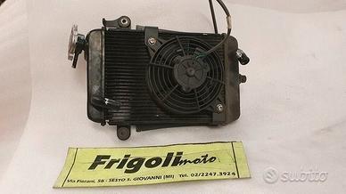 RADIATORE SH 300 2012 2013 2014 ABS HONDA RICAMBI 