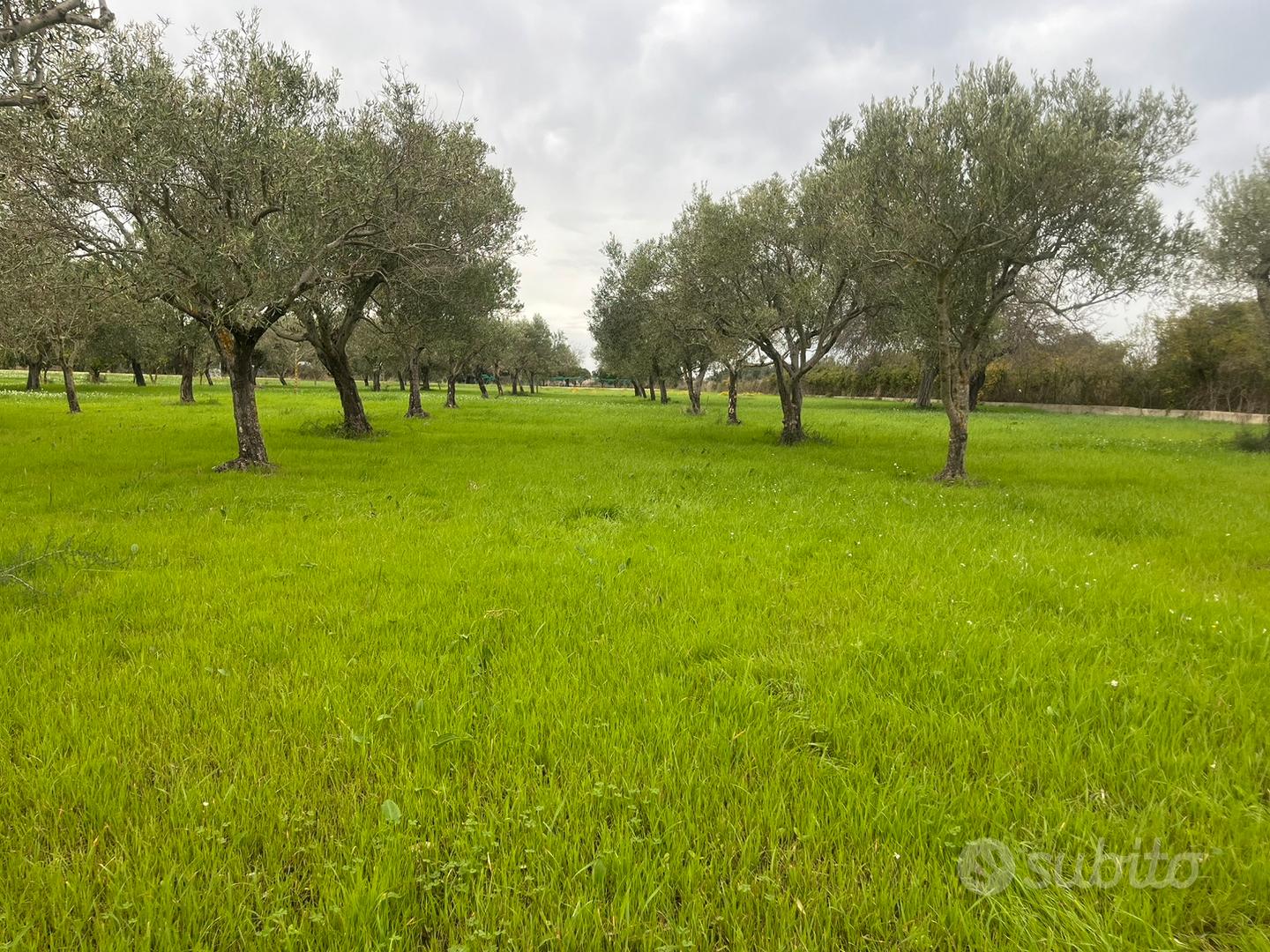 Terreno agricolo Augusta - Vista 5