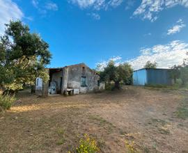 Terreno agricolo con abitazione