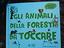 Immagine 3