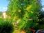Immagine 6
