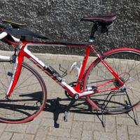 BICI FOCUS CAYO EVO IN CARBONIO