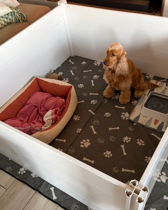 VEVOR Cassetta per Parto Cani XL 152 × 152 × 61 cm