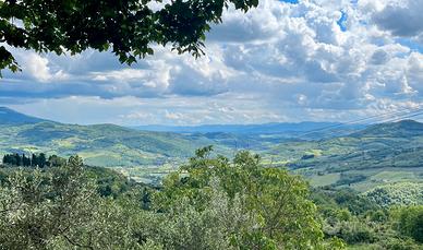Terreni a Pontassieve