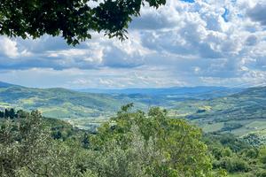 Terreni a Pontassieve